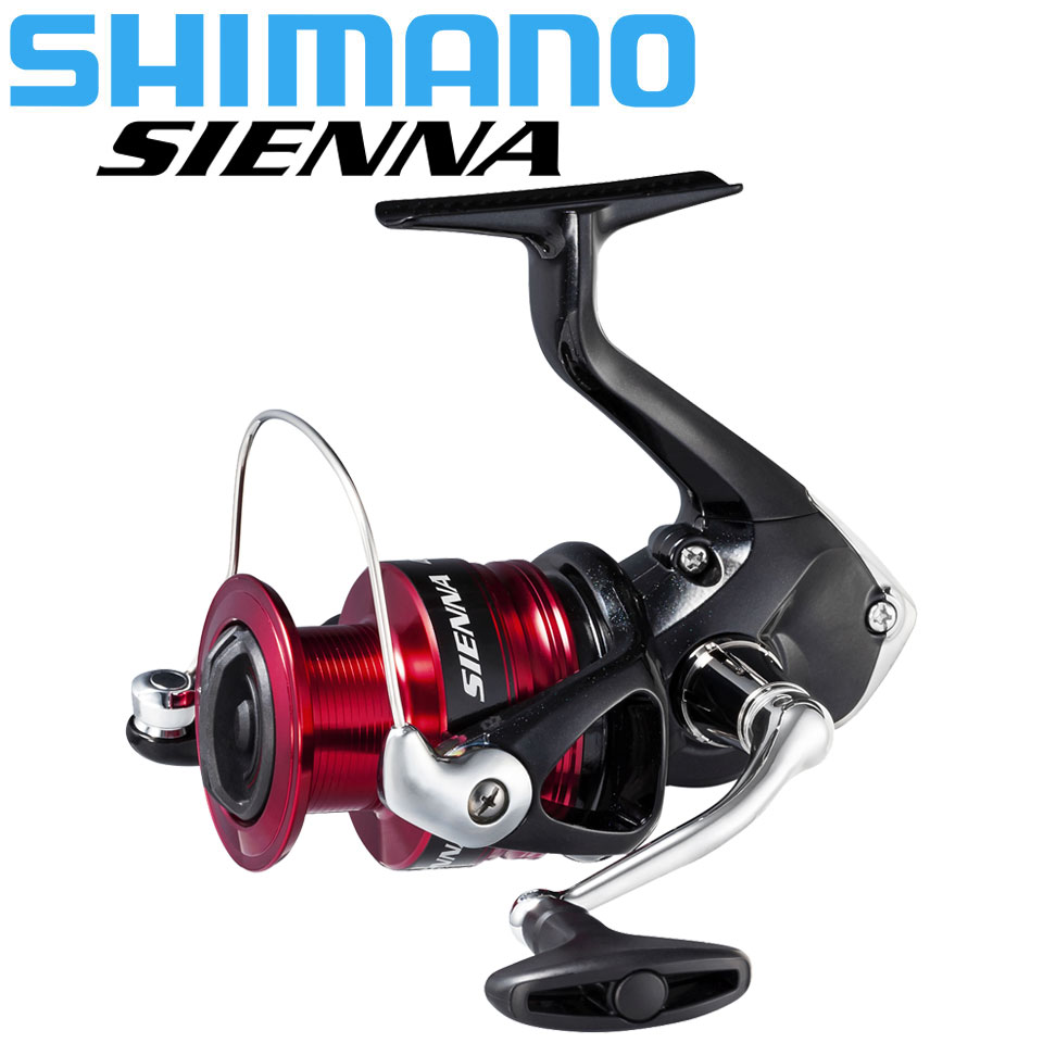 Daiwa Reel Bg - Carrete de pesca giratorio SHIMANO SIENNA